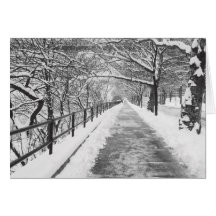 Snowy Lane Card