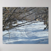 Snowy Lane-customize Posters