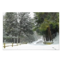 Snowy Lane Photo/Print