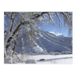 snowy mountain_06 postcard