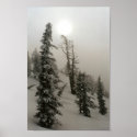 Snowy mountain and trees posters
