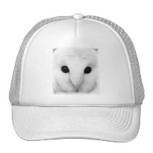 Snowy Owl Baseball Hat