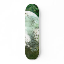 Snowy Owl Bird Skate Board