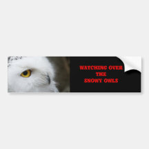 Snowy owl bumper sticker.