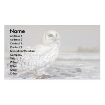 Snowy Owl business cards