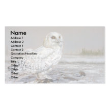 Snowy Owl Business Card