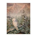 SNOWY OWL by SHARON SHARPE Postcards