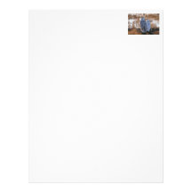 Snowy Owl Couple Custom Letterhead