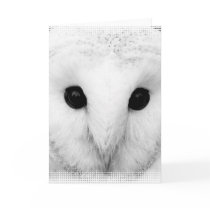 Snowy Owl Greeting Card