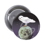 Snowy owl in the moonlight pinback buttons