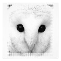 Snowy Owl Invitation