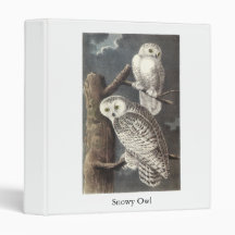 Snowy Owl, John Audubon Binders