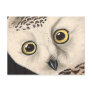 Snowy Owl, John James Audubon Post Cards