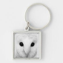Snowy Owl Keychain