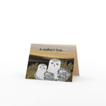 Snowy Owl Mother's Day Card
