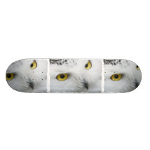 Snowy Owl Photo Skateboard