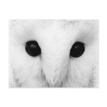 Snowy Owl Postcard