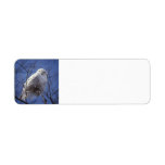Snowy Owl - White Bird & Sapphire Blue Sky full Return Address Labels