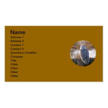 Snowy Owl Winking Business Card