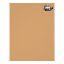 Snowy Owls Photo Custom Letterhead