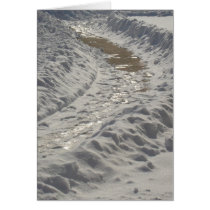 Snowy Path