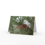 Snowy Pine Cones Card