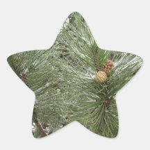 Snowy Pine Cones Sticker
