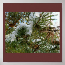 Snowy Pinecones Tree Poster