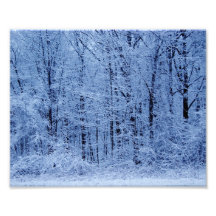 Snowy Snowy Trees 10x8 Photographic Print