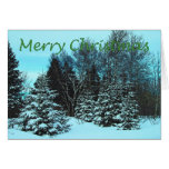Snowy Spruce Greeting Card