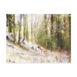 Snowy Sunlit Forest Glade #2 Postcards