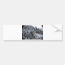 Snowy Trees Bumper Sticker