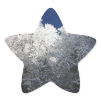 Snowy Trees Star Sticker