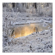 Snowy white winter landscape with light reflect photographic print