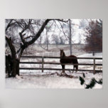 Snowy Winter Horse Print