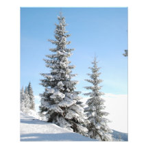 Snowy Winter Scene with Christmas Trees Photo Art