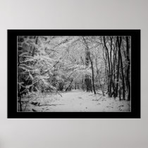 Snowy Woodland Poster
