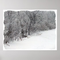 Snowy Woods Canvas Print