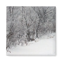 Snowy Woods Square Magnet