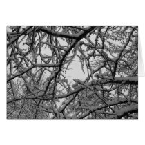 Snowy World Notecard