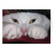 Snug As a Bug Card