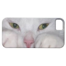 Snug As a Bug Cat iPhone 5 Case