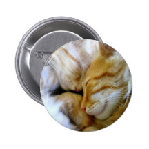 Snuggle Kittens Button