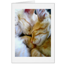 Snuggle Kittens Card