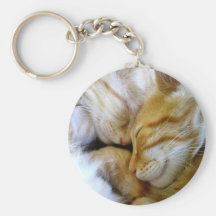 Snuggle Kittens Keychain