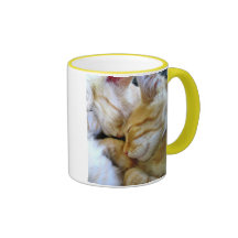 Snuggle Kittens Mug