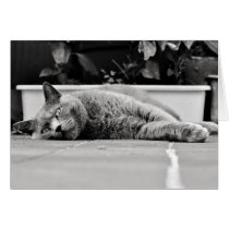 So bored... - Card