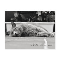 So bored... - Postcard
