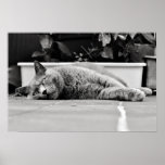 So bored... poster