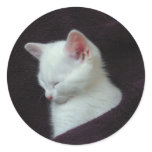 so cute stickers